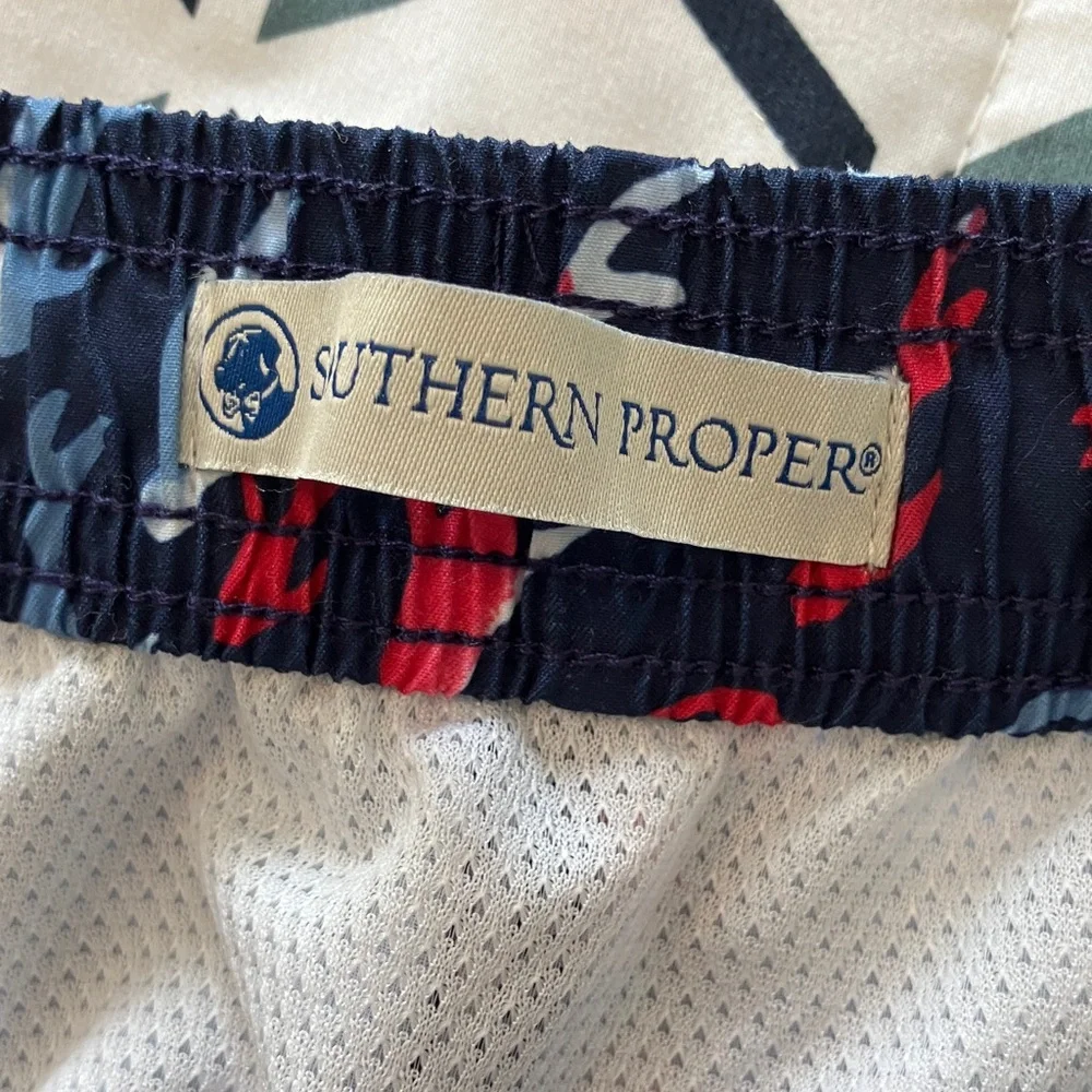 Southern Proper Swim Trunks